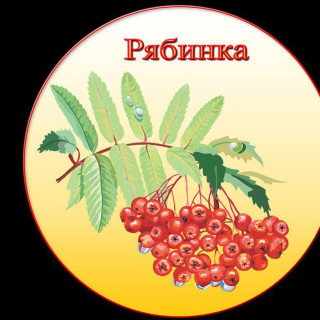 Муниципальное бюджетное дошкольное образовательное учреждение " Детский сад №28"Рябинка" с. Чехов"